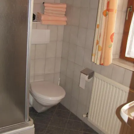 Wanishof Apartament Thiersee