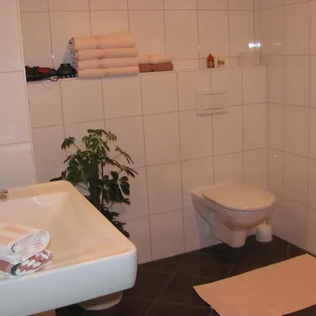 Wanishof Апартаменты *